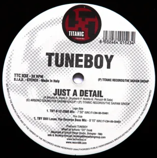 Cover: Tuneboy - Just A Detail