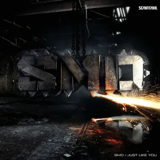Cover: SMD - Just Like You