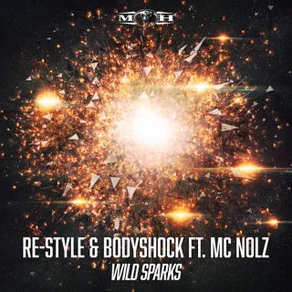 Cover: Re-Style & Bodyshock - Wild Sparks