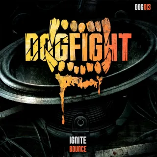 Cover: Ignite - Bounce