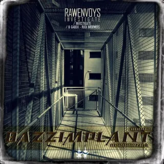 Cover: Rawenvoys - Investigate E.P.