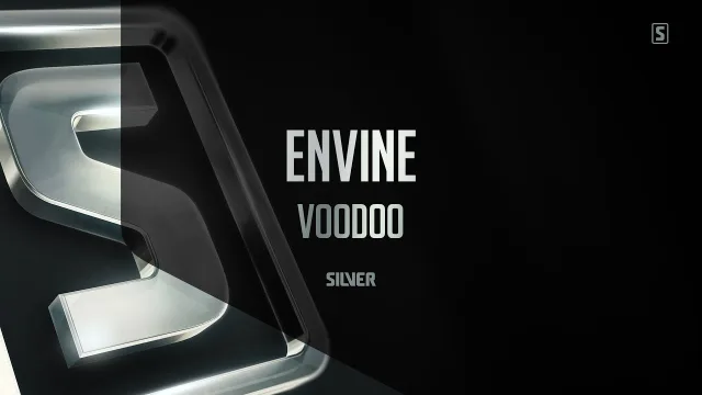 Cover: Envine - Voodoo