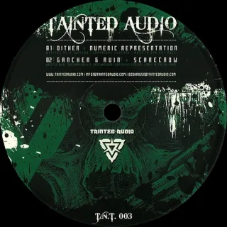 Cover: Dither & Gancher & Ruin - Numeric Representations / Scarecrow