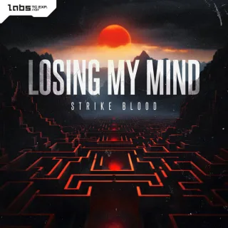 Cover: Strike Blood - Losing My Mind