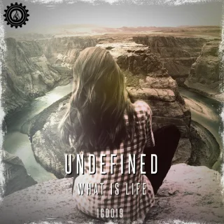 Cover: Undefined - What Is Life