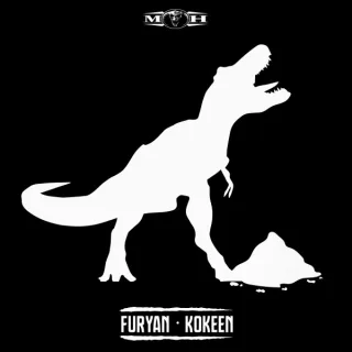 Cover: Furyan - Kokeen
