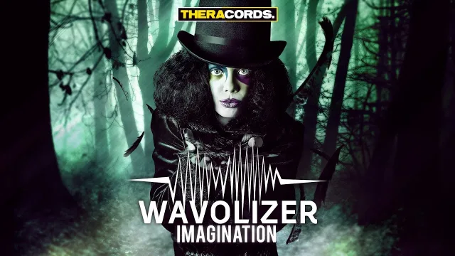 Cover: Wavolizer - Imagination