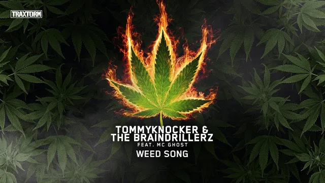 Cover: Tommyknocker & The Braindrillerz feat. MC Ghost - Weed Song