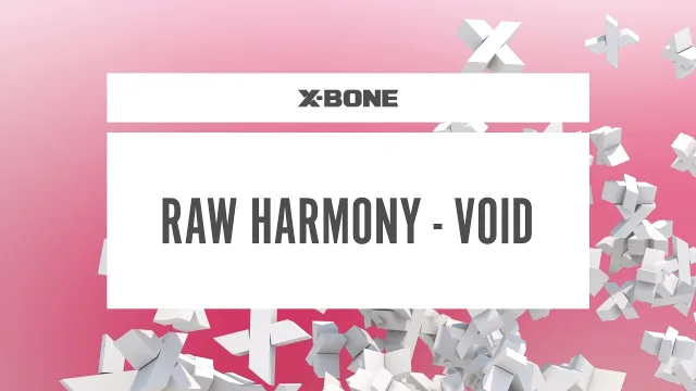 Cover: Raw Harmony - Void