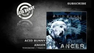 Cover: Acid Bunny - Anger