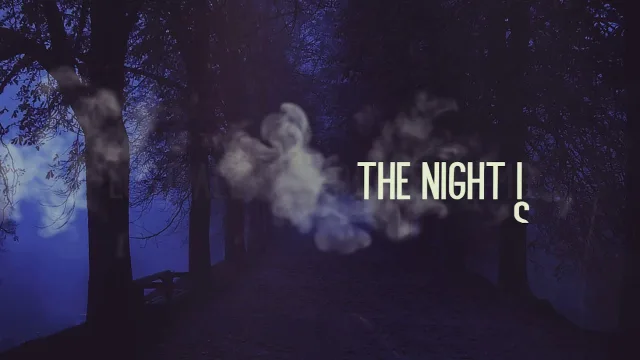 Cover: Firelite - In The Dark Now