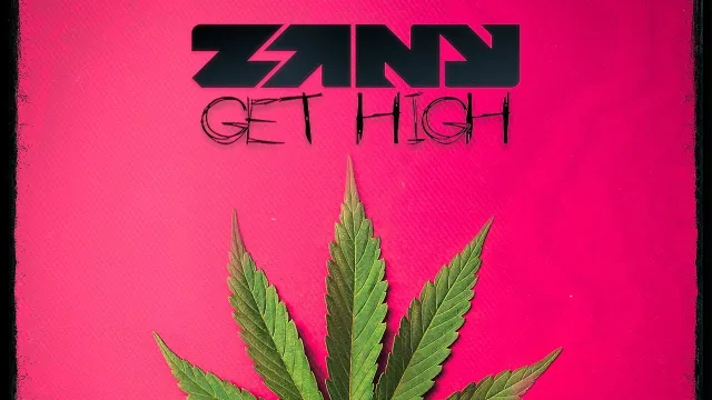 Cover: Zany - Get High