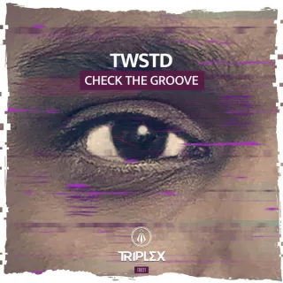Cover: TWSTD - Check The Groove