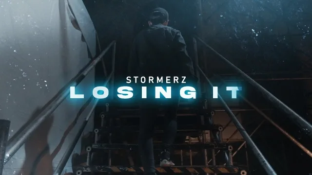 Cover: Stormerz - Losing It