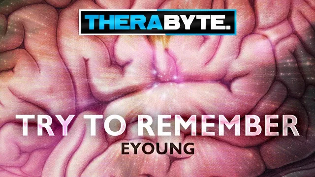 Cover: Eyoung - Try to Remember