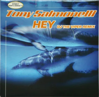 Cover: Tony Salmonelli - Hey (DJ The Viper Remix)