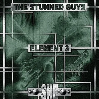 Cover: The Stunned Guys - Element 3