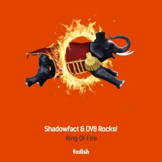 Cover: Shadow fact - Ring Of Fire
