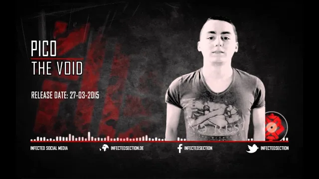 Cover: Pico - The Void