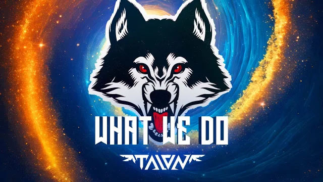Cover: TALON - What We Do