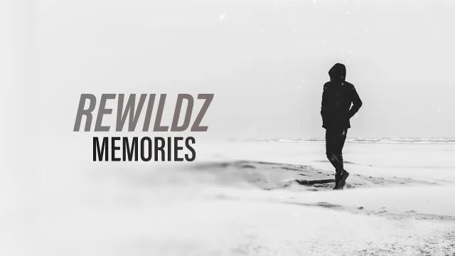 Cover: Rewildz - Memories