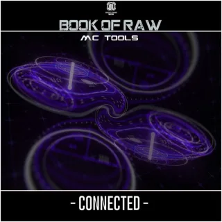 Cover: Book Of Raw - Connected