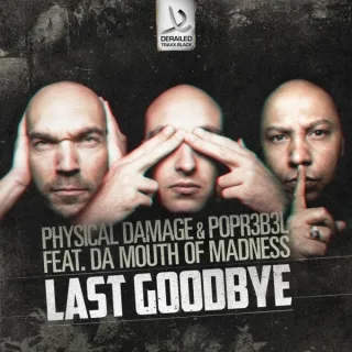 Cover: Physical Damage & Popr3b3l - Last Goodbye