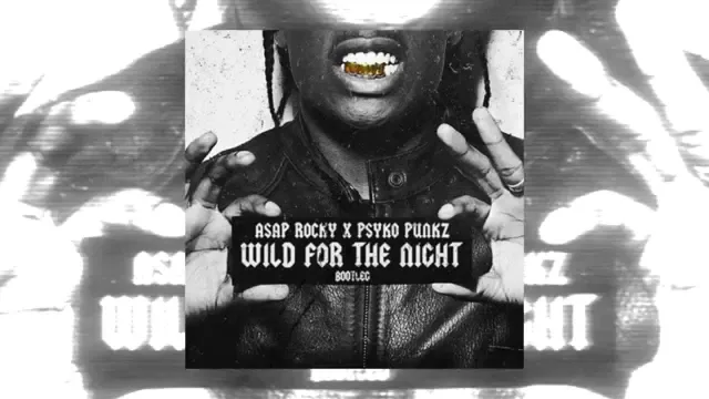 Cover: ASAP Rocky ft Skrillex - Wild For The Night (Psyko Punkz Bootleg)