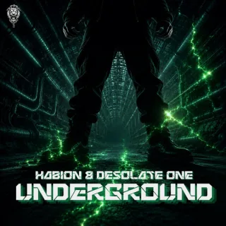 Cover: Habion & Desolate 1 - Underground