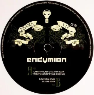 Cover: Endymion - Payback VIP