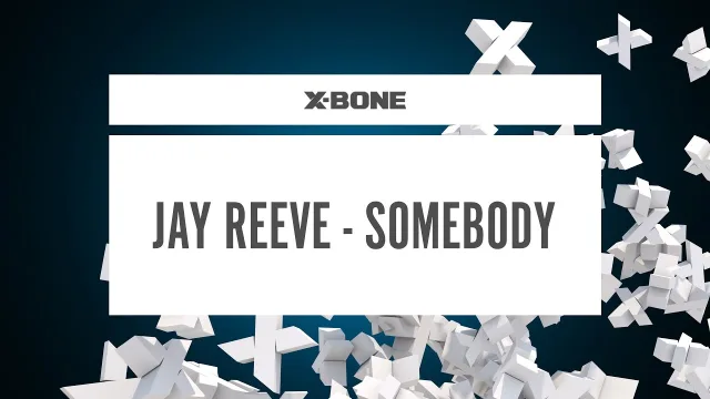 Cover: Jay Reeve - Somebody