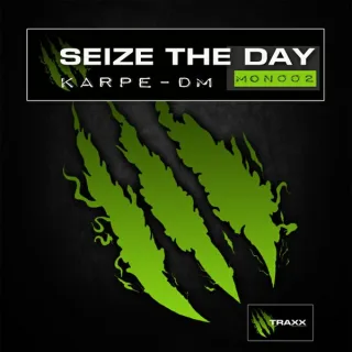 Cover: Karpe-DM - Seize The Day