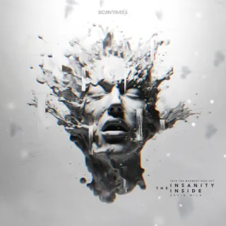 Cover: Devin Wild - The Insanity Inside (Into The Madness 2024 OST)