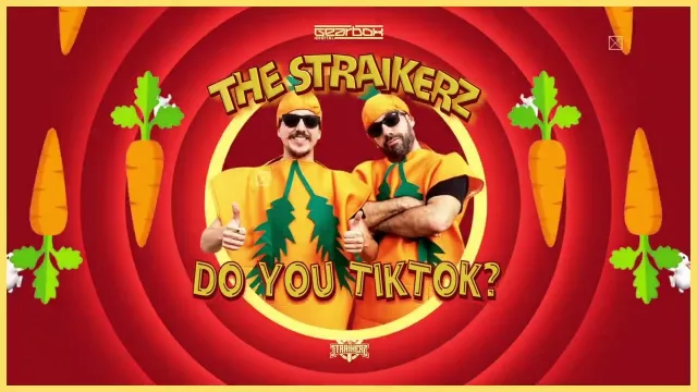 Cover: The Straikerz - Do You Tiktok?