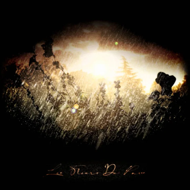 Cover: RAßßeAT - Les Fleurs Du Passé