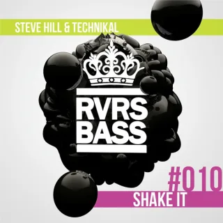 Cover: Steve Hill vs Technikal - Shake It