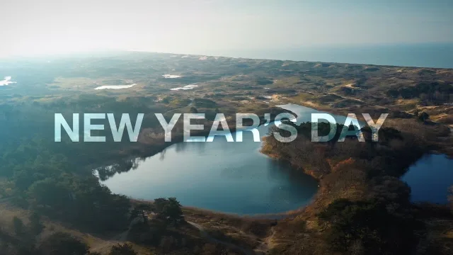 Cover: D-Block & S-Te-Fan - New Year's Day
