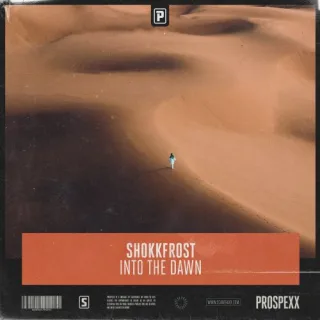 Cover: Shokkfrost ft. Emily Fox - Into The Dawn