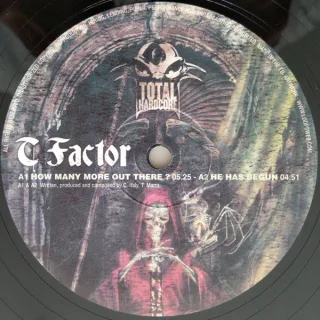 Cover: T-Factor & DJ Lancinhouse & The Stunned Guys - Total Hardcore 09
