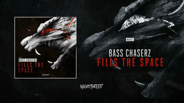 Cover: Bass Chaserz - Fills The Space
