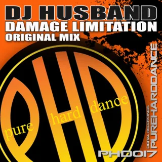 Cover: DJ Husband - Damage Limitation