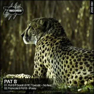 Cover: Pat B - No Fear