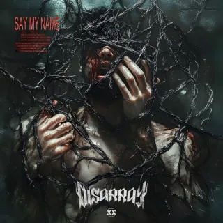 Cover: Disarray - Say My Name