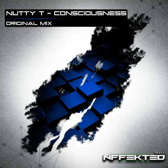 Cover: Nutty T - Consciousness