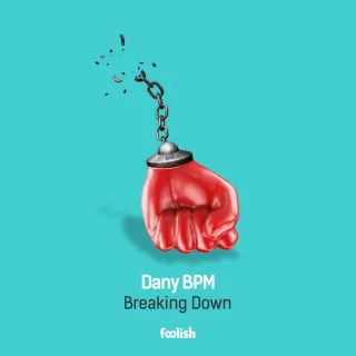 Cover: Dany BPM - Breaking Down