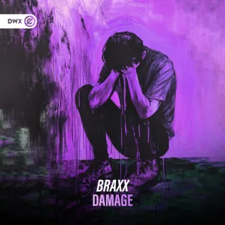 Cover: BraxX - Damage
