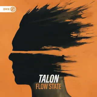Cover: TALON - Flow State