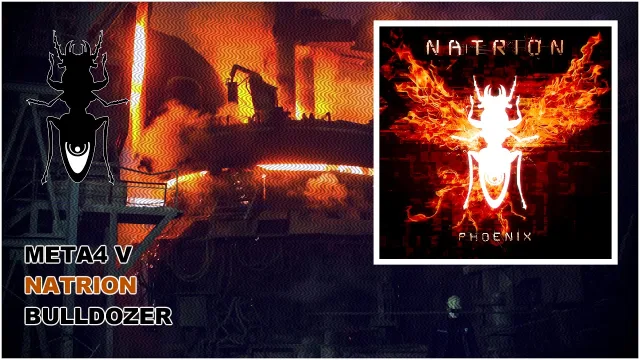 Cover: Natrion - Phoenix (META4 V)