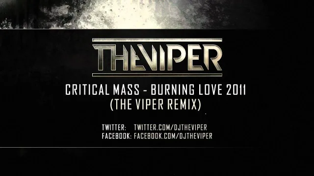 Cover: Critical Mass - Burning Love (The Viper Remix)