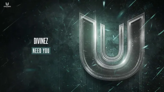Cover: Divinez - Need You